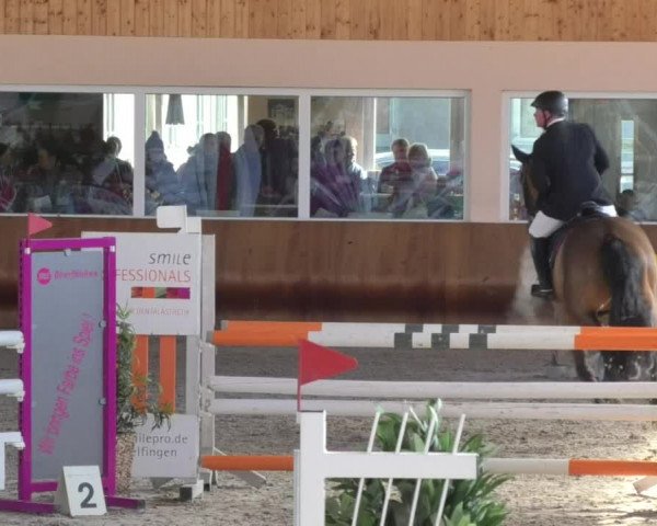 Reitturnier Dettingen 2018