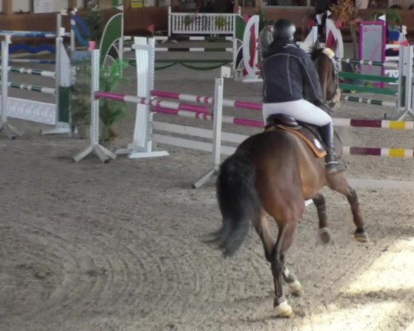 Reitturnier Dettingen 2018