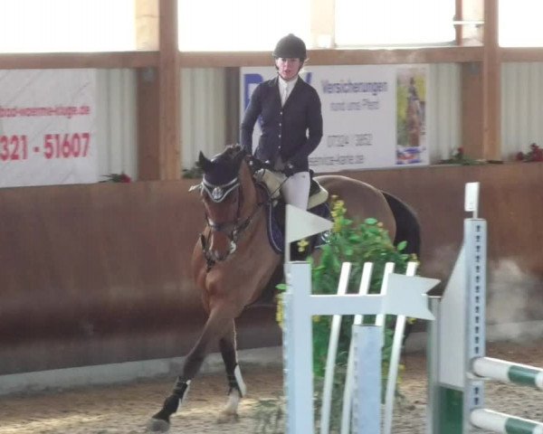 Reitturnier Dettingen 2018