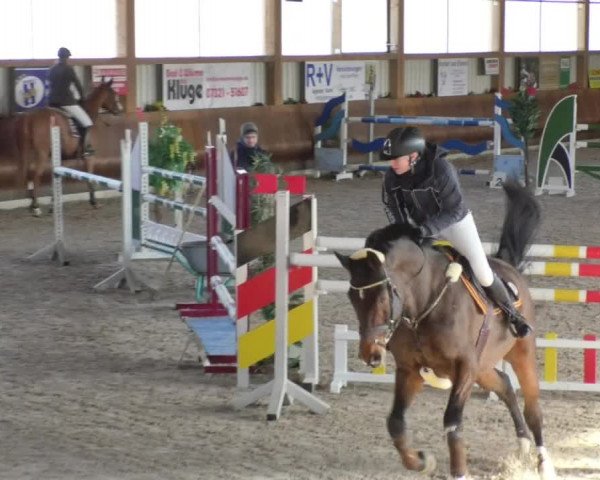 Reitturnier Dettingen 2018