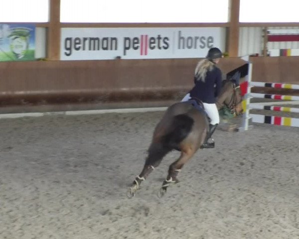 Reitturnier Dettingen 2018