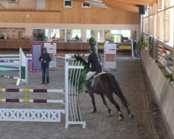 Reitturnier Dettingen 2018