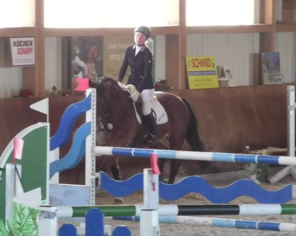 Reitturnier Dettingen 2018