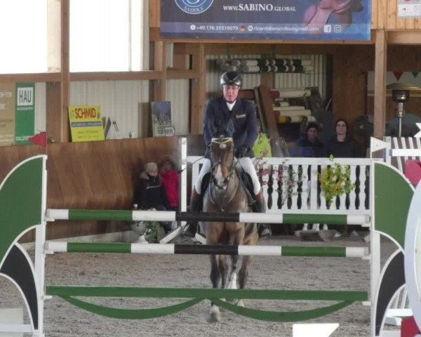 Reitturnier Dettingen 2018