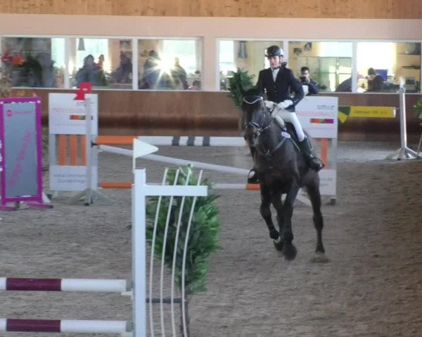 Reitturnier Dettingen 2018