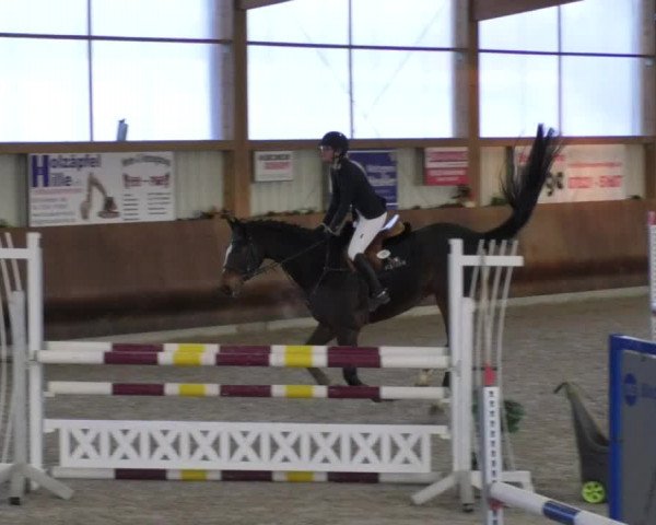 Reitturnier Dettingen 2018