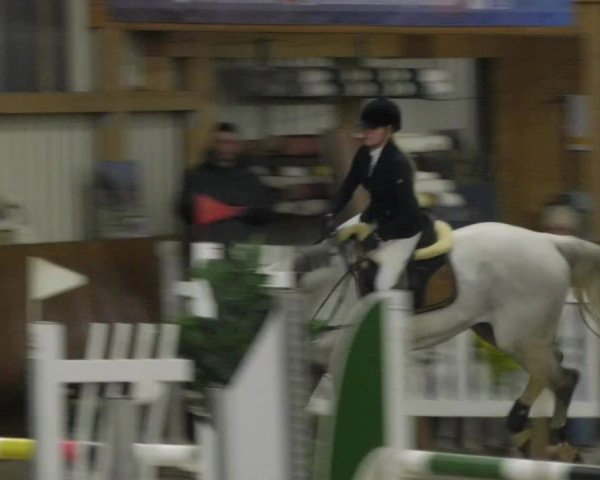 Reitturnier Dettingen 2018
