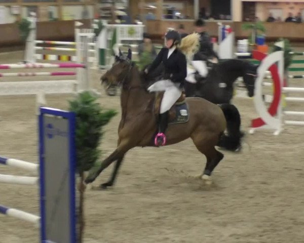 Reitturnier Dettingen 2018