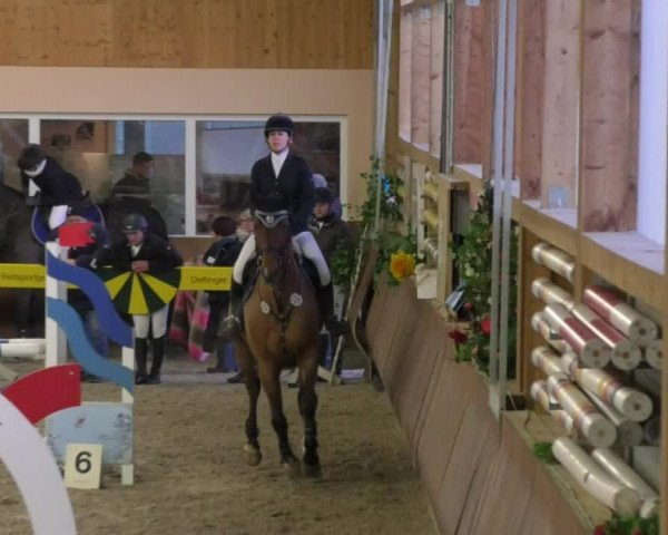 Reitturnier Dettingen 2018