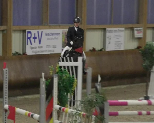 Reitturnier Dettingen 2018