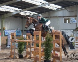 broodmare Ceresa B (Hanoverian, 2011, from Chacco-Blue)