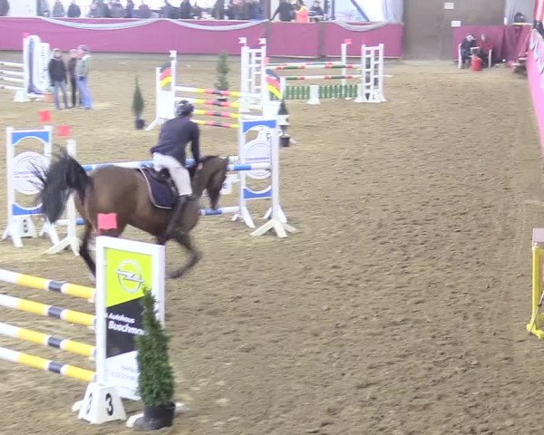 Reitturnier Vlotho-Exter 2018