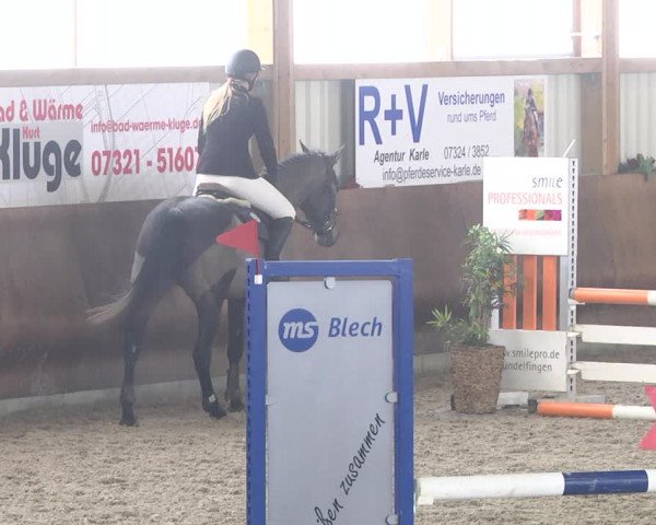 Reitturnier Dettingen 2018