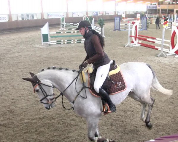 Reitturnier Dettingen 2018