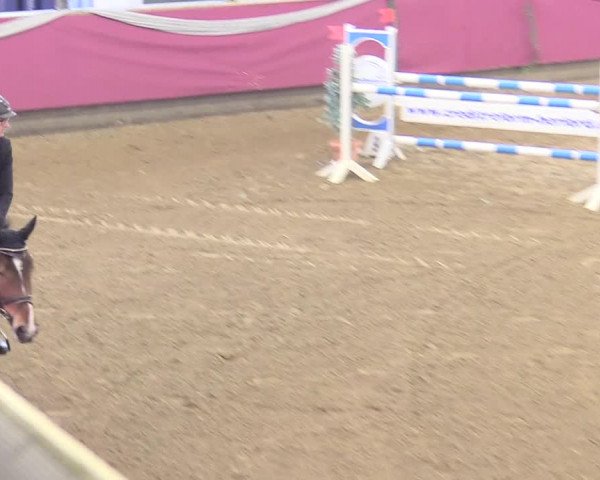 Reitturnier Vlotho-Exter 2018