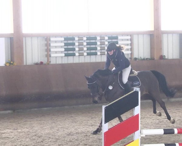 Reitturnier Dettingen 2018