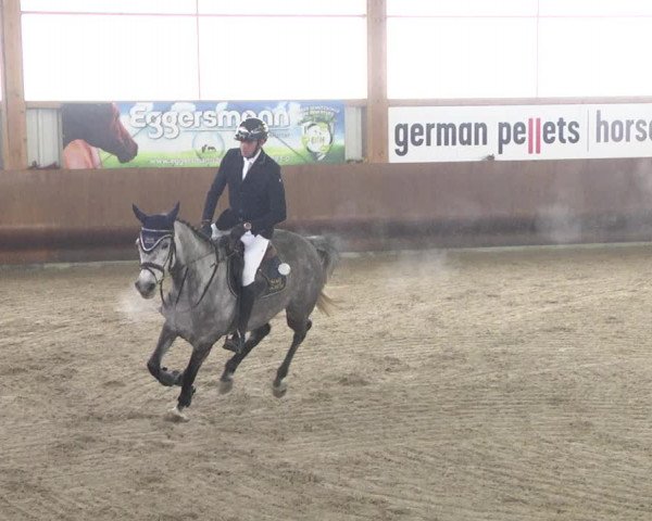 Reitturnier Dettingen 2018