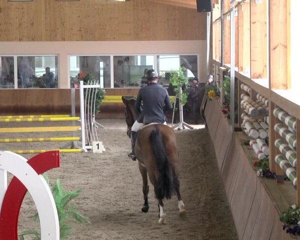 Reitturnier Dettingen 2018