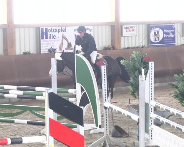 Reitturnier Dettingen 2018