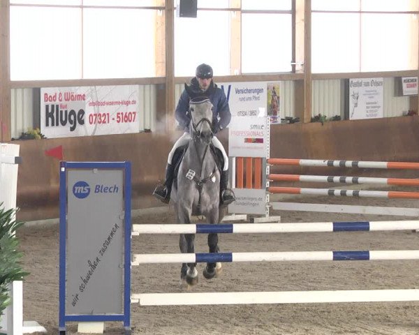 Reitturnier Dettingen 2018