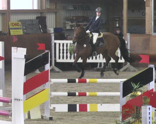 Reitturnier Dettingen 2018