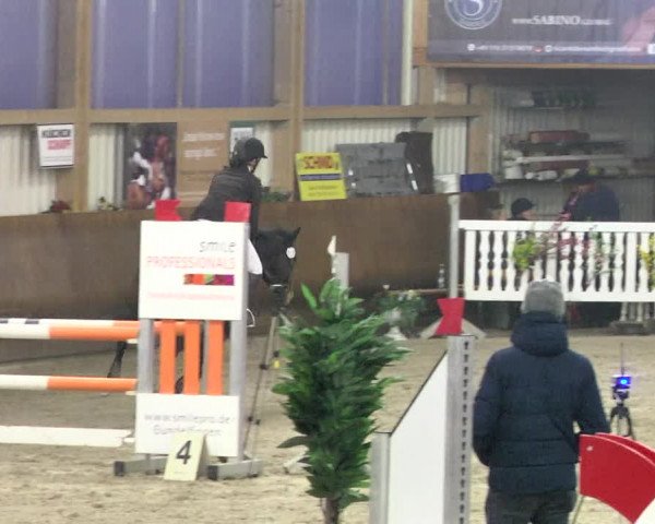 Reitturnier Dettingen 2018