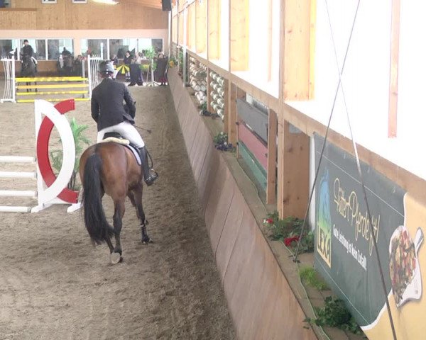 Reitturnier Dettingen 2018