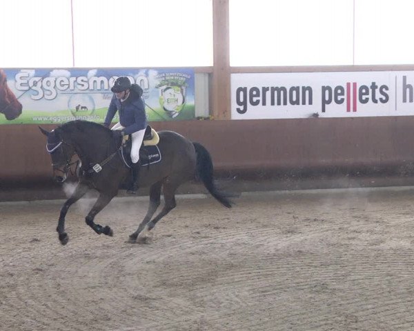 Reitturnier Dettingen 2018