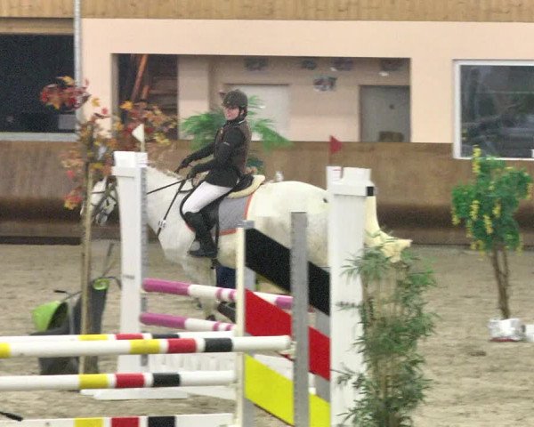 Reitturnier Dettingen 2018