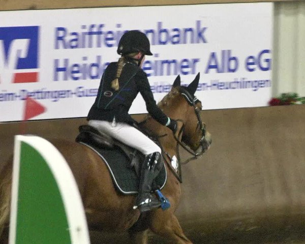 Reitturnier Dettingen 2018