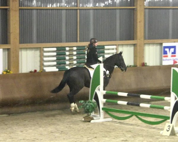 Reitturnier Dettingen 2018