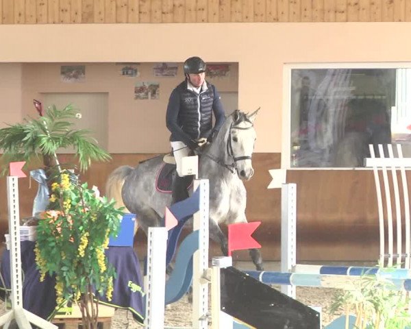 Reitturnier Dettingen 2018