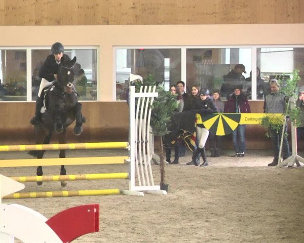 Reitturnier Dettingen 2018