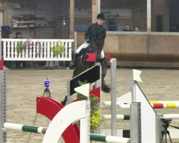 Reitturnier Dettingen 2018