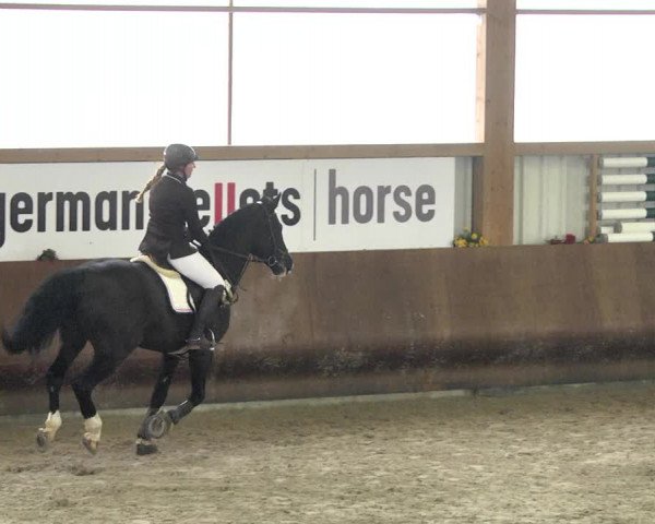 Reitturnier Dettingen 2018