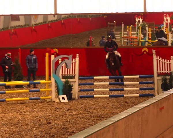 Reitturnier Münchehofe 2018