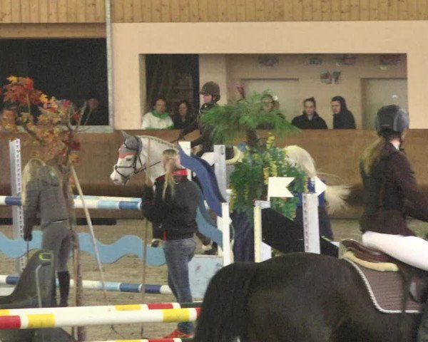 Reitturnier Dettingen 2018