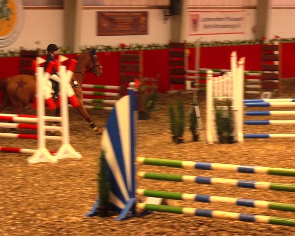 Reitturnier Münchehofe 2018