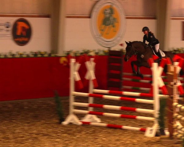 Reitturnier Münchehofe 2018