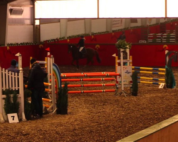 Reitturnier Münchehofe 2018