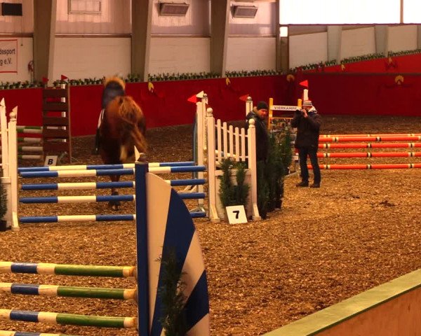 Reitturnier Münchehofe 2018
