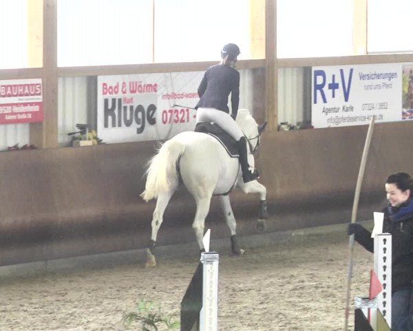 Reitturnier Dettingen 2018