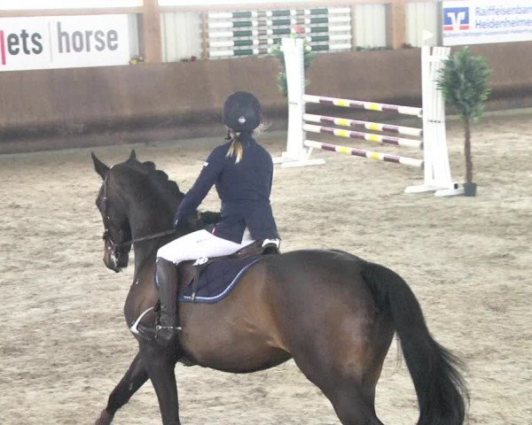 Reitturnier Dettingen 2018