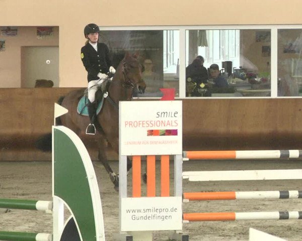 Reitturnier Dettingen 2018