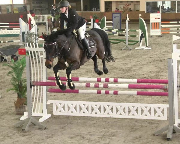 Reitturnier Dettingen 2018