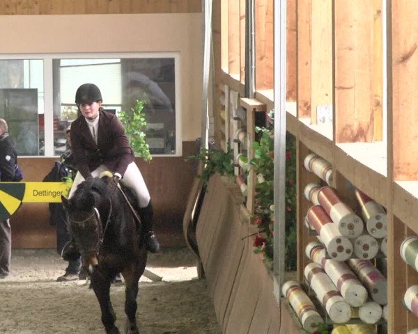 Reitturnier Dettingen 2018