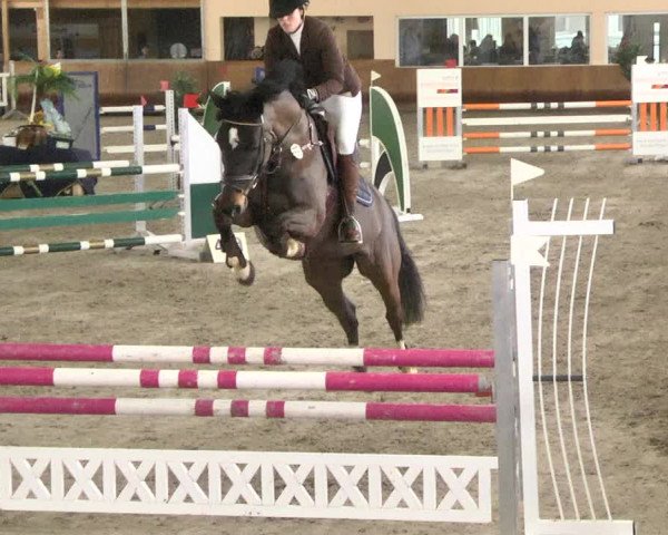 Reitturnier Dettingen 2018