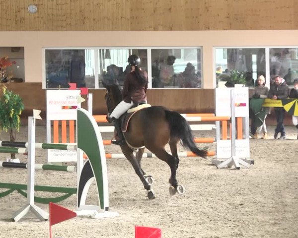 Reitturnier Dettingen 2018