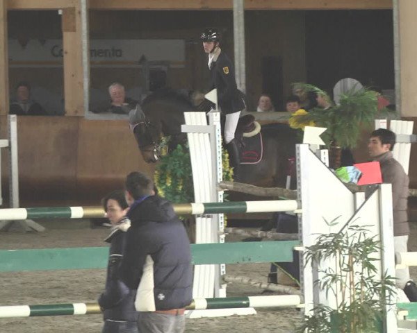 Reitturnier Dettingen 2018