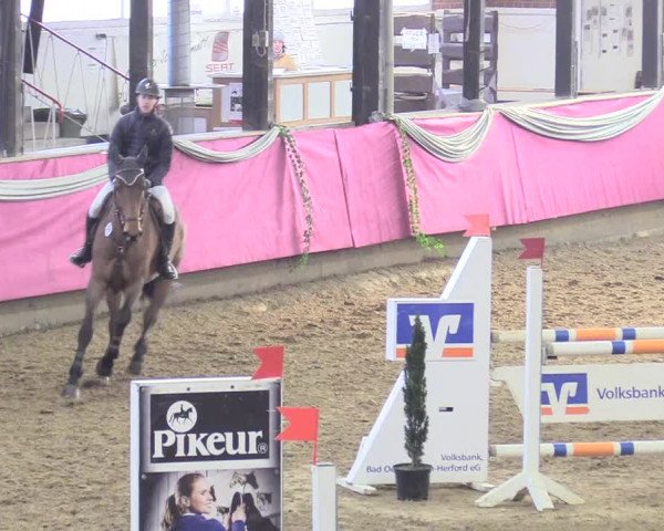 Reitturnier Vlotho-Exter 2018